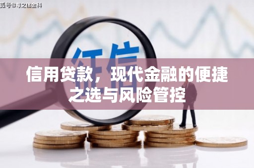 左营信用贷款，现代金融的便捷之选与风险管控
