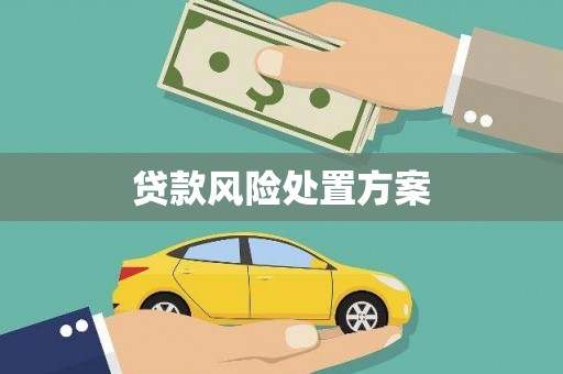 左营贷款风险处置方案