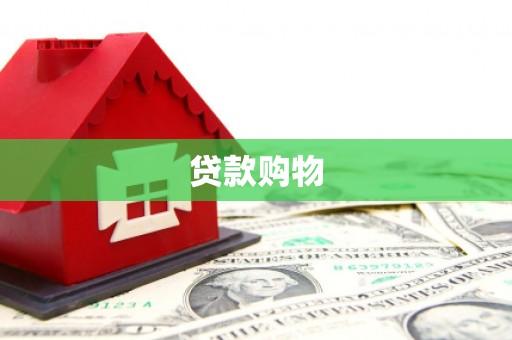 左营贷款购物