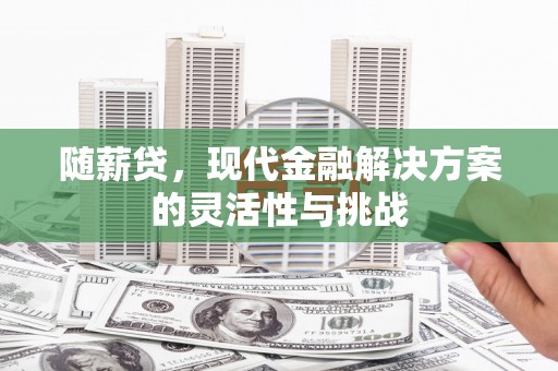 左营随薪贷，现代金融解决方案的灵活性与挑战