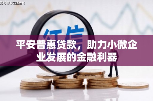 左营平安普惠贷款，助力小微企业发展的金融利器