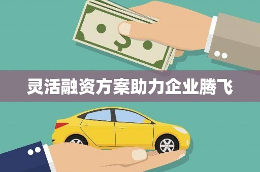 左营灵活融资方案助力企业腾飞