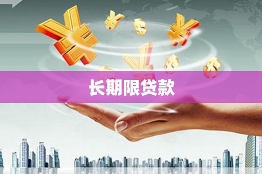 左营长期限贷款