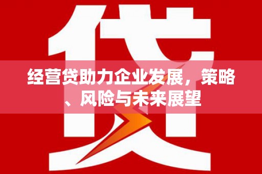 左营经营贷助力企业发展，策略、风险与未来展望