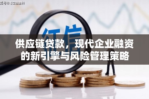 左营供应链贷款，现代企业融资的新引擎与风险管理策略