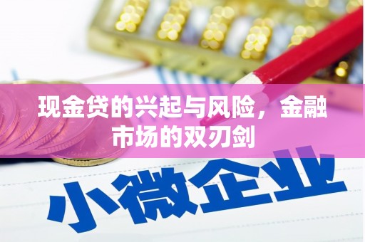 左营现金贷的兴起与风险，金融市场的双刃剑
