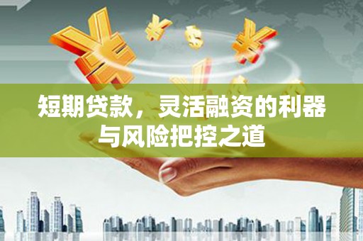 左营短期贷款，灵活融资的利器与风险把控之道