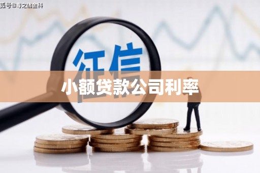 左营小额贷款公司利率