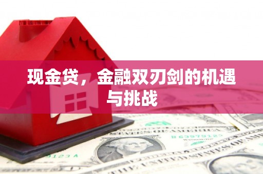 左营现金贷，金融双刃剑的机遇与挑战