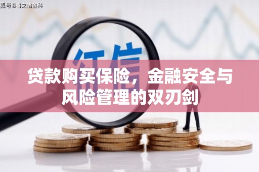 左营贷款购买保险，金融安全与风险管理的双刃剑