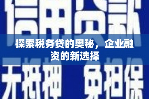 左营探索税务贷的奥秘，企业融资的新选择
