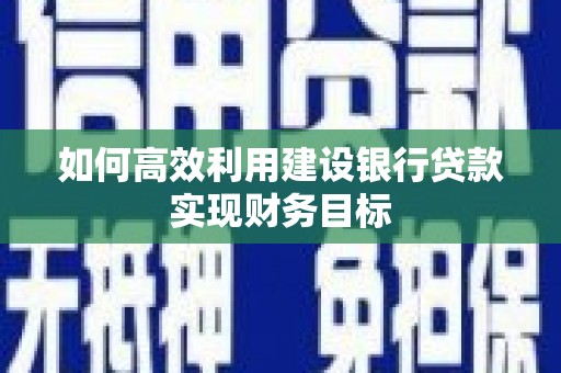 左营如何高效利用建设银行贷款实现财务目标