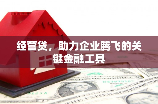 左营经营贷，助力企业腾飞的关键金融工具