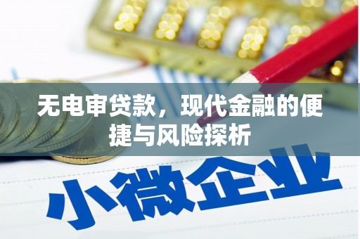 左营无电审贷款，现代金融的便捷与风险探析