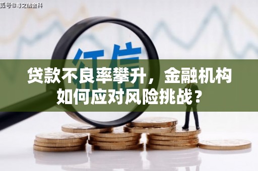 左营贷款不良率攀升，金融机构如何应对风险挑战？