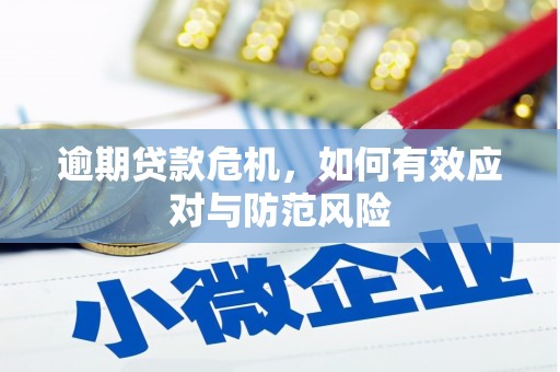 左营逾期贷款危机，如何有效应对与防范风险