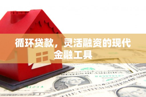 左营循环贷款，灵活融资的现代金融工具