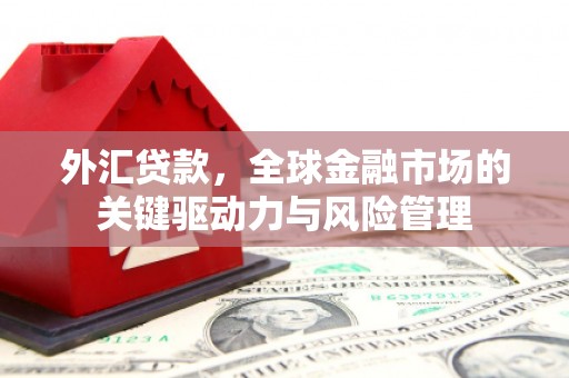 左营外汇贷款，全球金融市场的关键驱动力与风险管理