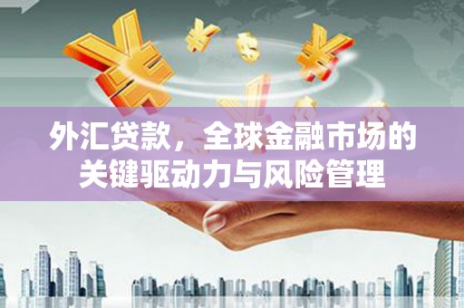 左营外汇贷款，全球金融市场的关键驱动力与风险管理