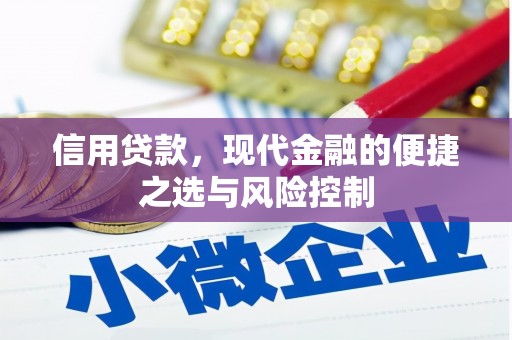 左营信用贷款，现代金融的便捷之选与风险控制
