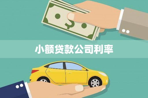 左营小额贷款公司利率