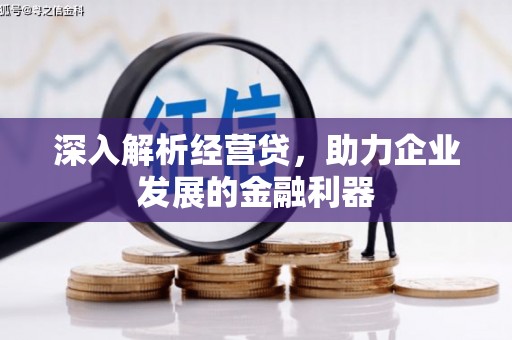 左营深入解析经营贷，助力企业发展的金融利器