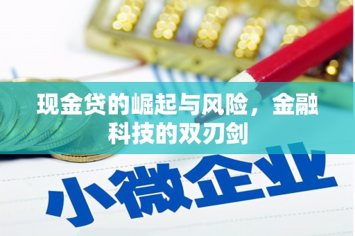 左营现金贷的崛起与风险，金融科技的双刃剑