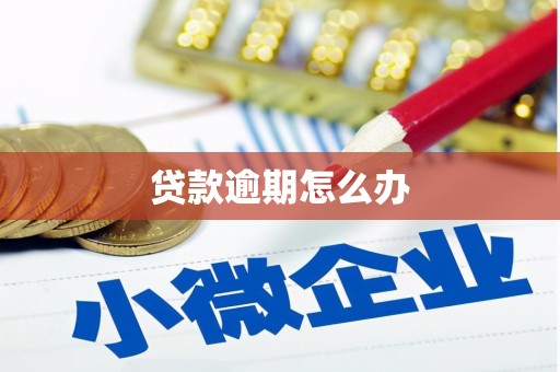 左营贷款逾期怎么办