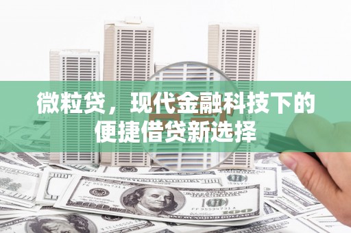 左营微粒贷，现代金融科技下的便捷借贷新选择