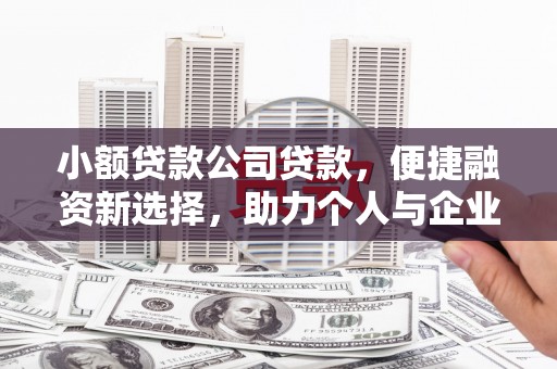 左营小额贷款公司贷款，便捷融资新选择，助力个人与企业成长