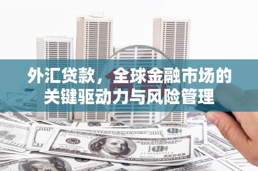 左营外汇贷款，全球金融市场的关键驱动力与风险管理