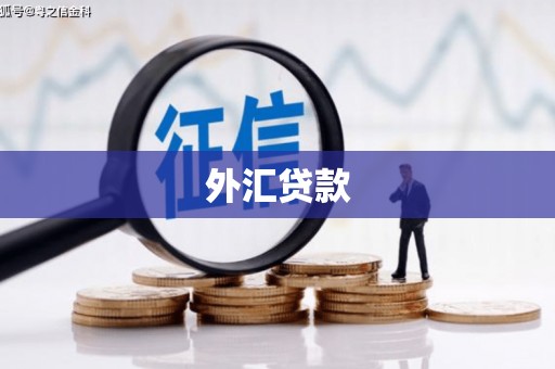 左营外汇贷款