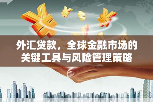 左营外汇贷款，全球金融市场的关键工具与风险管理策略
