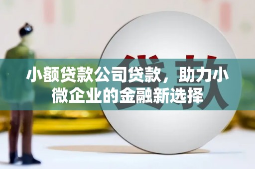 左营小额贷款公司贷款，助力小微企业的金融新选择