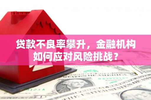 左营贷款不良率攀升，金融机构如何应对风险挑战？