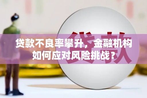 左营贷款不良率攀升，金融机构如何应对风险挑战？
