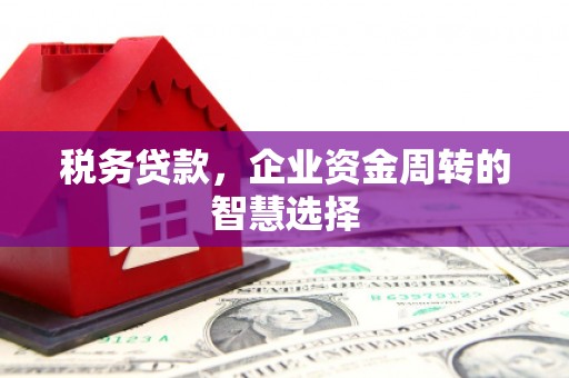 左营税务贷款，企业资金周转的智慧选择