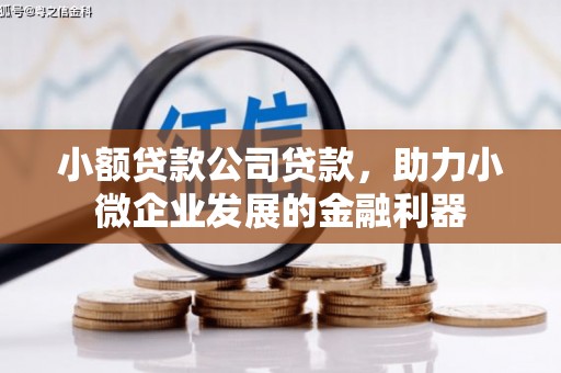 左营小额贷款公司贷款，助力小微企业发展的金融利器