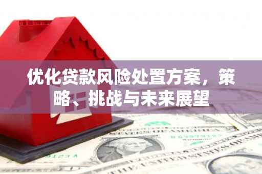 左营优化贷款风险处置方案，策略、挑战与未来展望