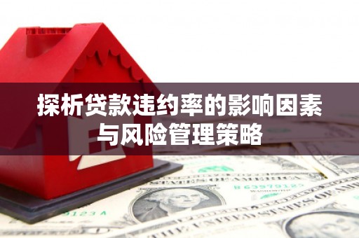 左营探析贷款违约率的影响因素与风险管理策略