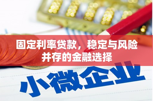 左营固定利率贷款，稳定与风险并存的金融选择