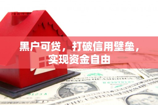左营黑户可贷，打破信用壁垒，实现资金自由