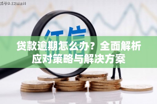 左营贷款逾期怎么办？全面解析应对策略与解决方案