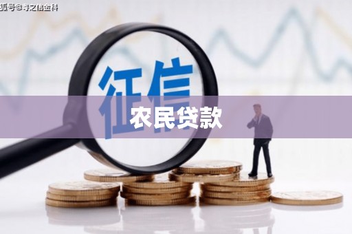 左营农民贷款