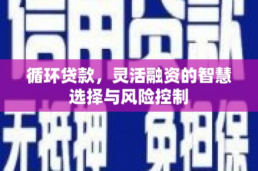 左营循环贷款，灵活融资的智慧选择与风险控制