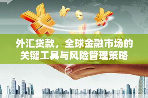 左营外汇贷款，全球金融市场的关键工具与风险管理策略