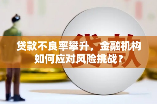 左营贷款不良率攀升，金融机构如何应对风险挑战？