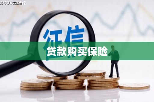 左营贷款购买保险