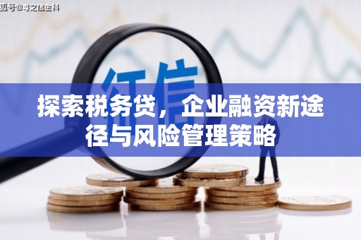 左营探索税务贷，企业融资新途径与风险管理策略