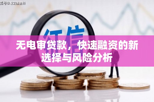 左营无电审贷款，快速融资的新选择与风险分析